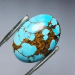 نگین فیروزه شجر